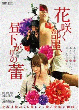 中雨实况记录